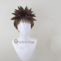Brock Brown Styled Cosplay Wig