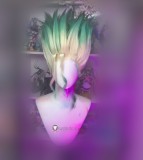 Dr. Stone Senku Ishigami Kohaku Ruri Yuzuriha Ogawa Golden Brown Cosplay Wigs