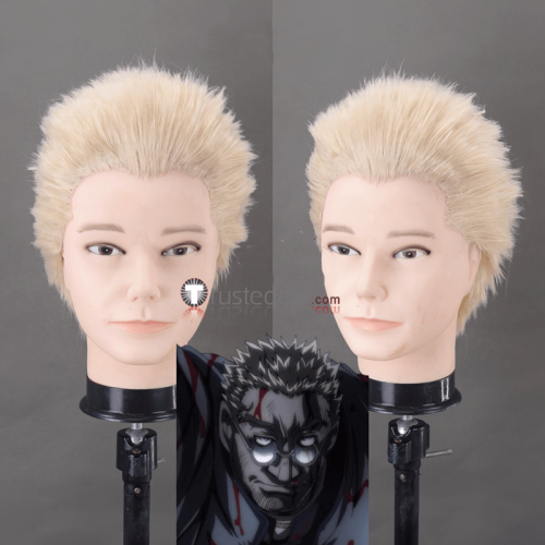 Anderson Schrodinger Alucard Black Blonde Styled Cosplay Wig