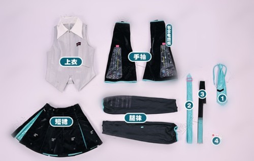 V6 Miku Cosplay Costume