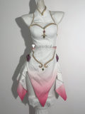 Fairy Dress Cosplay Costume