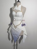Fairy Dress Cosplay Costume
