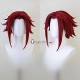 Brown Red Styled Red Cosplay Wig