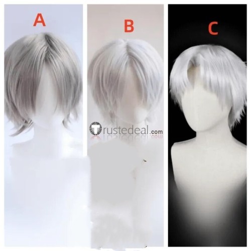 Grey Silver White Styled Cosplay Wig