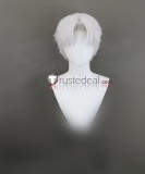 Grey Silver White Styled Cosplay Wig