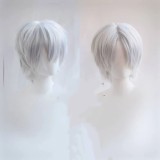 Grey Silver White Styled Cosplay Wig