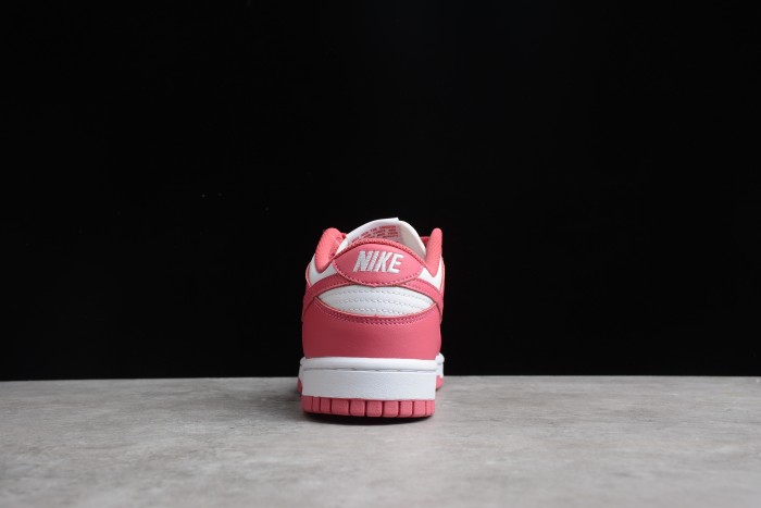 NK SB Dunk Low Red DD1503-111