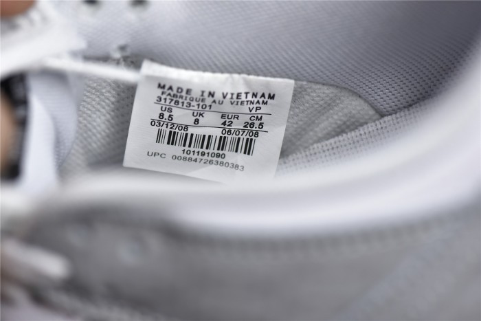 SB Dunk Low White Grey 317813-101