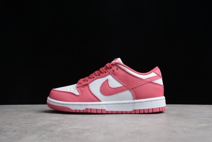 NK SB Dunk Low Red DD1503-111