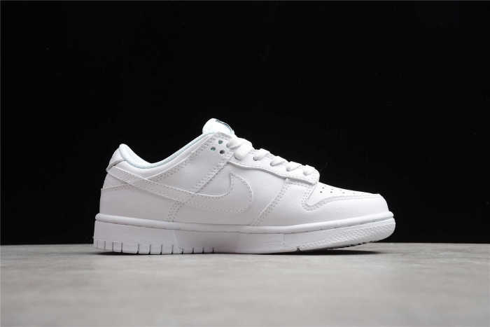 Nk SB Dunk Low Prm DD1503-109