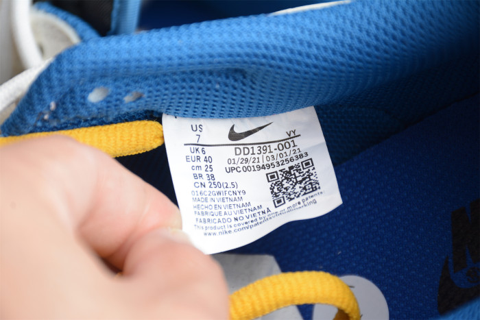 NK SB Dunk Low DD1391-001