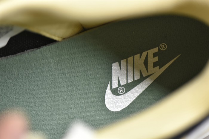 NK Dunk Low Roped in Peace DJ4671-294