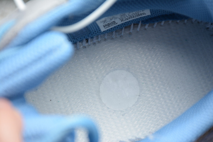 Yeezy Boost 700 “Carbon Blue” FW2498