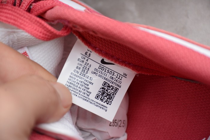 NK SB Dunk Low Red DD1503-111