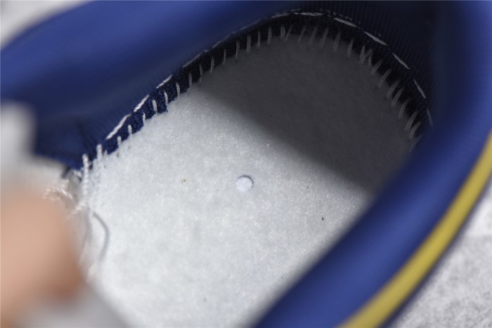 SB Dunk Low “Michigan” DD1391-700