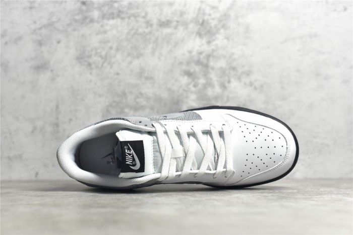 SB Dunk Low White Grey 317813-101