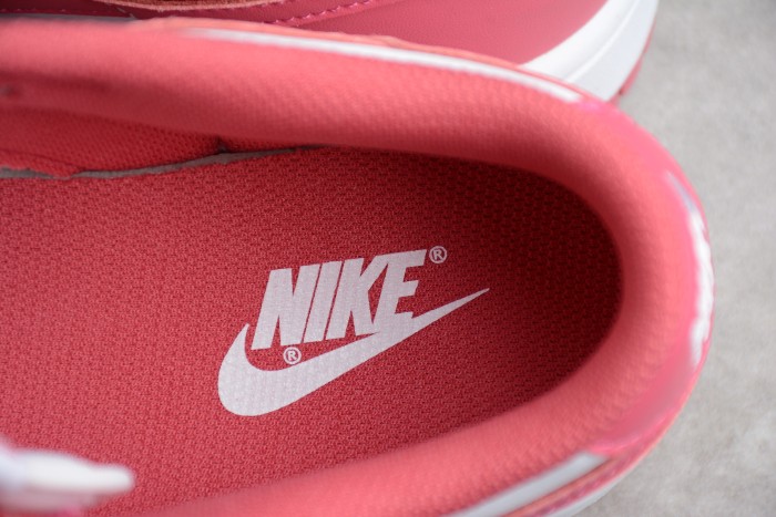 NK SB Dunk Low Red DD1503-111