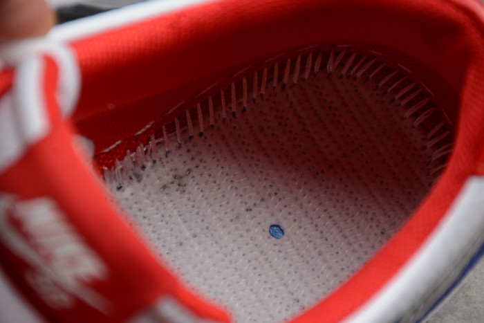 SB Dunk Low Pro QS “Ishod Wair” 839685-416