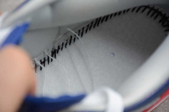 SB Dunk “Samba” Grey Blue Red CZ2667-400