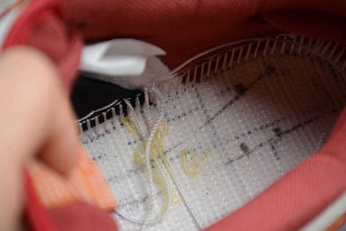 SB Dunk Brown Red BQ6817-202