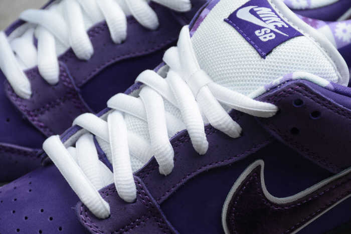 SB Dunk Low Purple Lobster BV1310-555