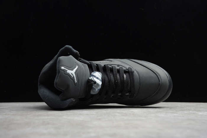 Air Jordan 5 Anthracite Grey Silver DB00731-001