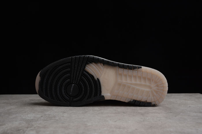 Air Jordan 1 Element Gore-Tex AJ1 DB2889-100