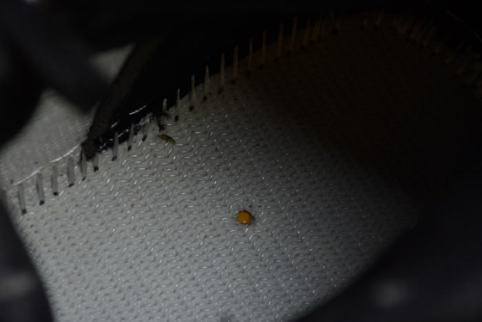 Air Jordan 1 Shattered Backboard 554724-058