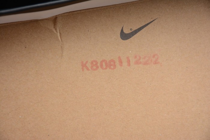 SB x Air Jordan 1 Retro High OG “Light Bone” CD6578-006