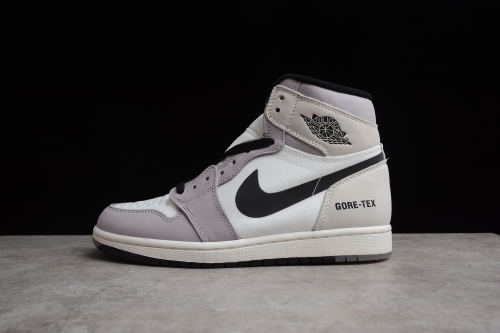 Air Jordan 1 Element Gore-Tex AJ1 DB2889-100