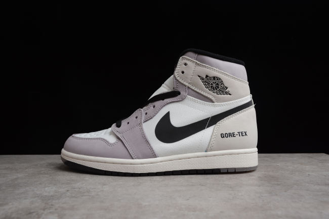 Air Jordan 1 Element Gore-Tex AJ1 DB2889-100