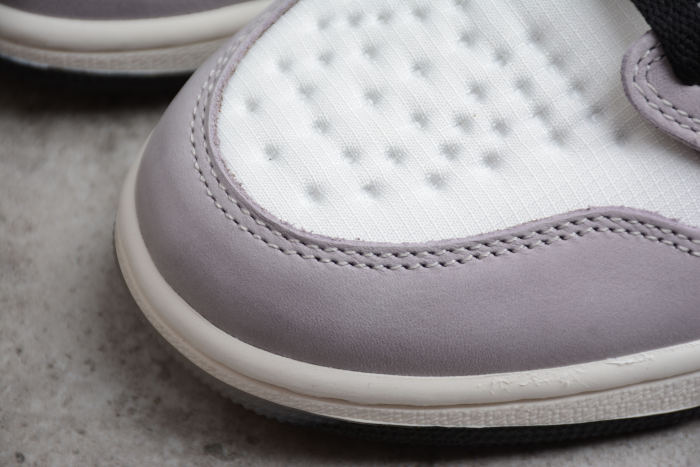 Air Jordan 1 Element Gore-Tex AJ1 DB2889-100