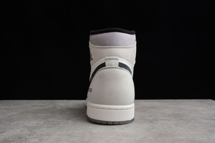 Air Jordan 1 Element Gore-Tex AJ1 DB2889-100