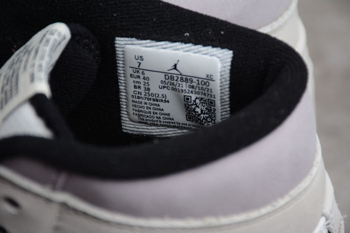 Air Jordan 1 Element Gore-Tex AJ1 DB2889-100