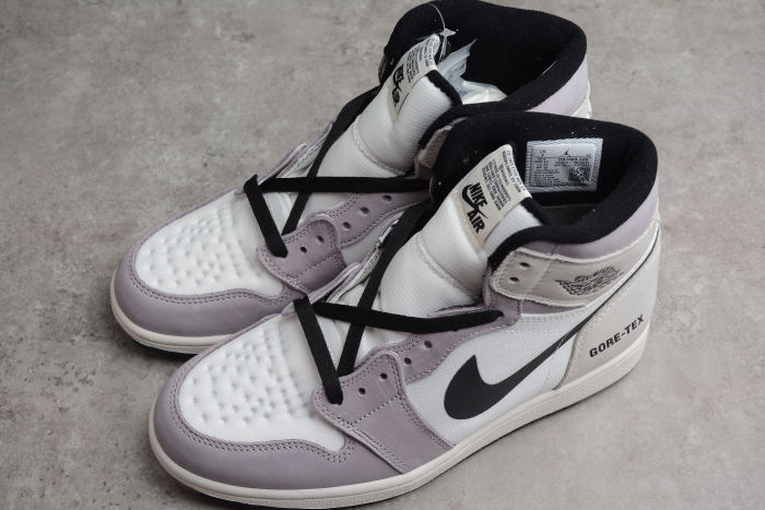 Air Jordan 1 Element Gore-Tex AJ1 DB2889-100