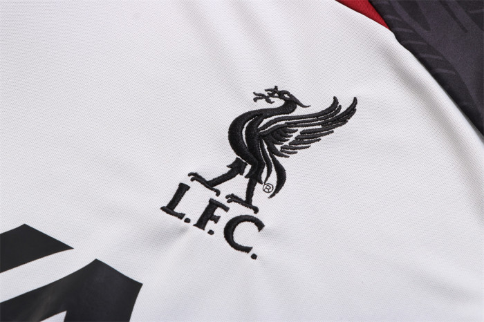 Liverpool Training Jersey 22/23
