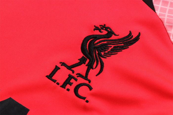 Liverpool Training Jersey 22/23