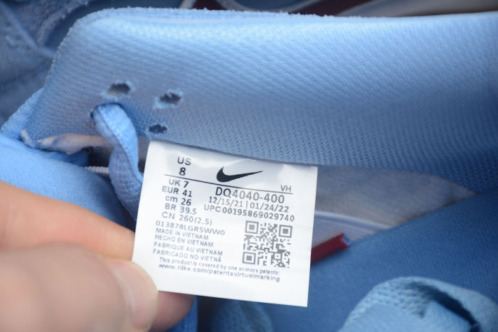 SB Zoom Dunk Low DQ4040-400