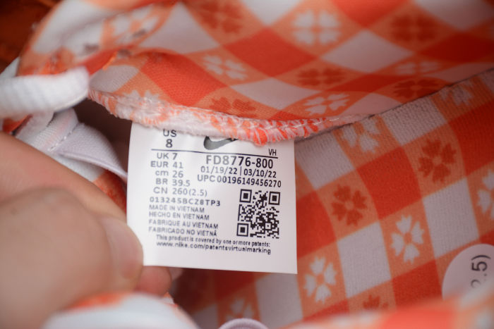 Concepts x SB Dunk Low FD8776-800