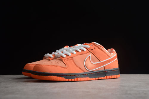 Concepts x SB Dunk Low FD8776-800