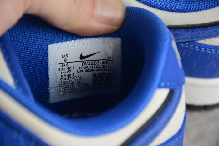 SB Dunk Low Robinson 75th Anniversary DV2203-400