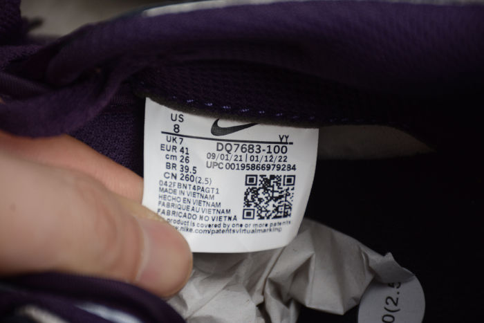 SB Dunk Low “Chenille Swoosh” DQ7683-100