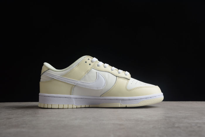 SB Dunk Low DJ6188-100