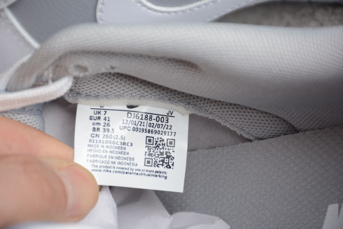 SB Dunk Low Gray DJ6188-003