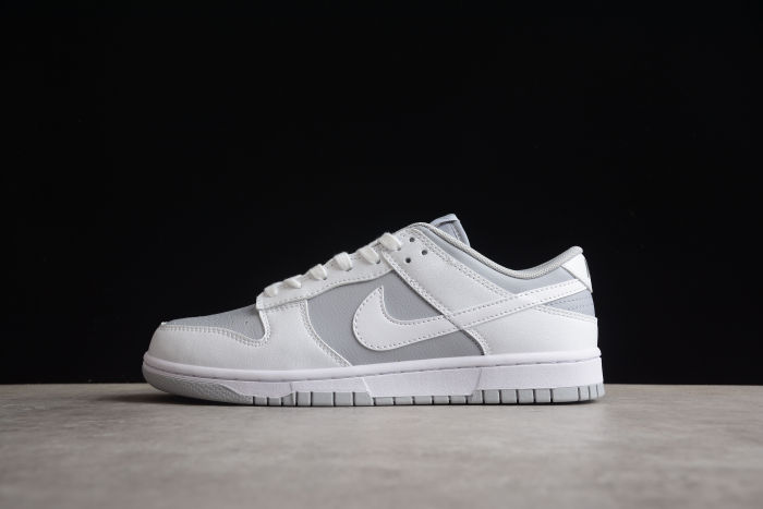 SB Dunk Low Gray DJ6188-003