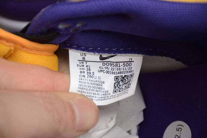 SB Dunk Low Purple Yellow DO9581-500