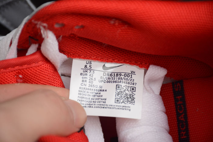 SB Dunk Low Gray Red DR6189-001