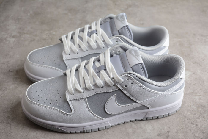 SB Dunk Low Gray DJ6188-003