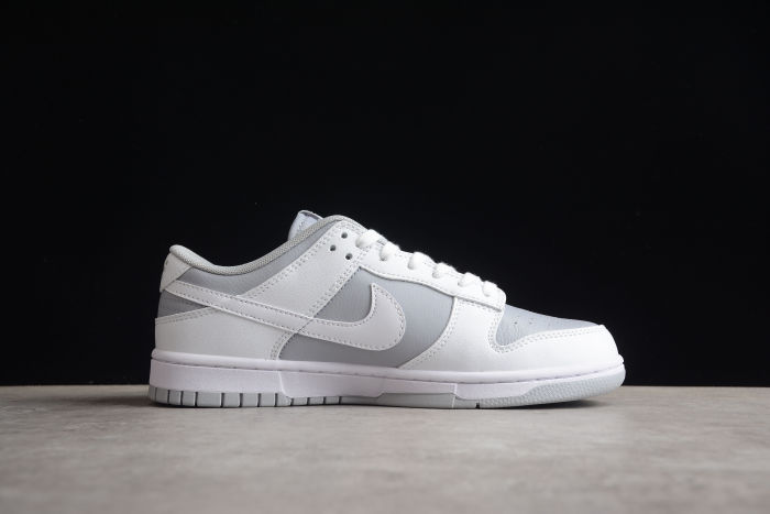 SB Dunk Low Gray DJ6188-003