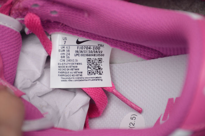 SB Dunk Low Pro lso White Gum FJ0704-100